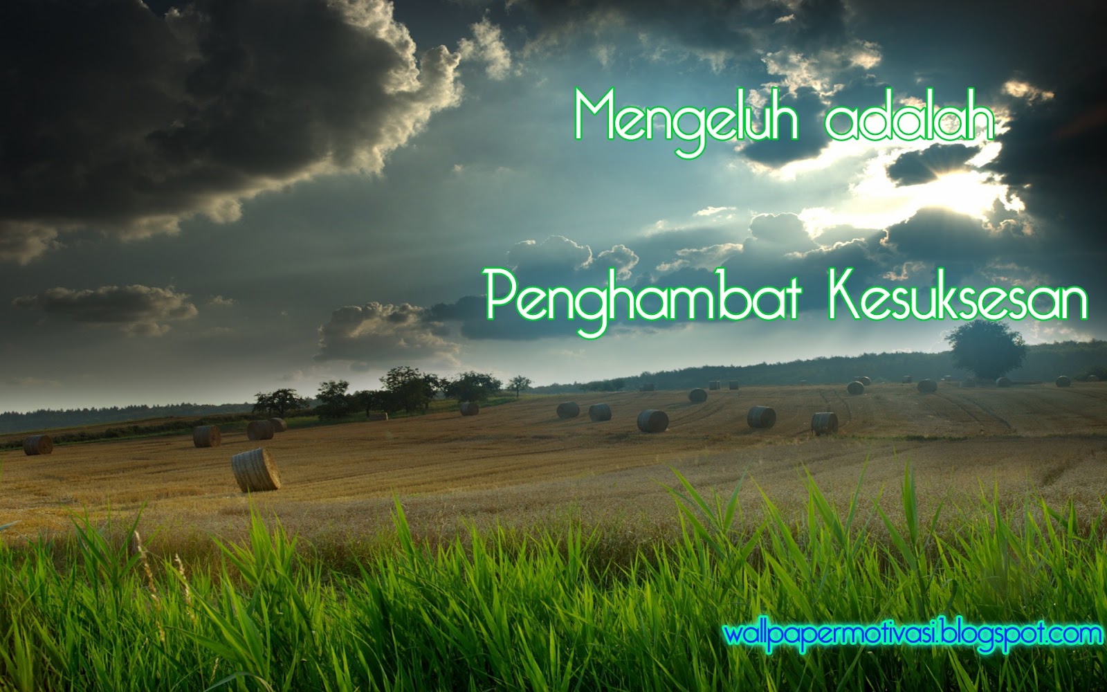 Kata Mutiara Motivasi Mengeluh Adalah Penghambat Kesuksesan Wallpaper Motivasi Kata Mutiara Motivasi Mengeluh Adalah Penghambat Kesuksesan Wallpaper Motivasi